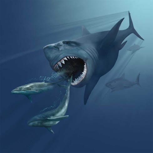 Jaws vs. the Megalodon: This Time, It’s Peer-Reviewed