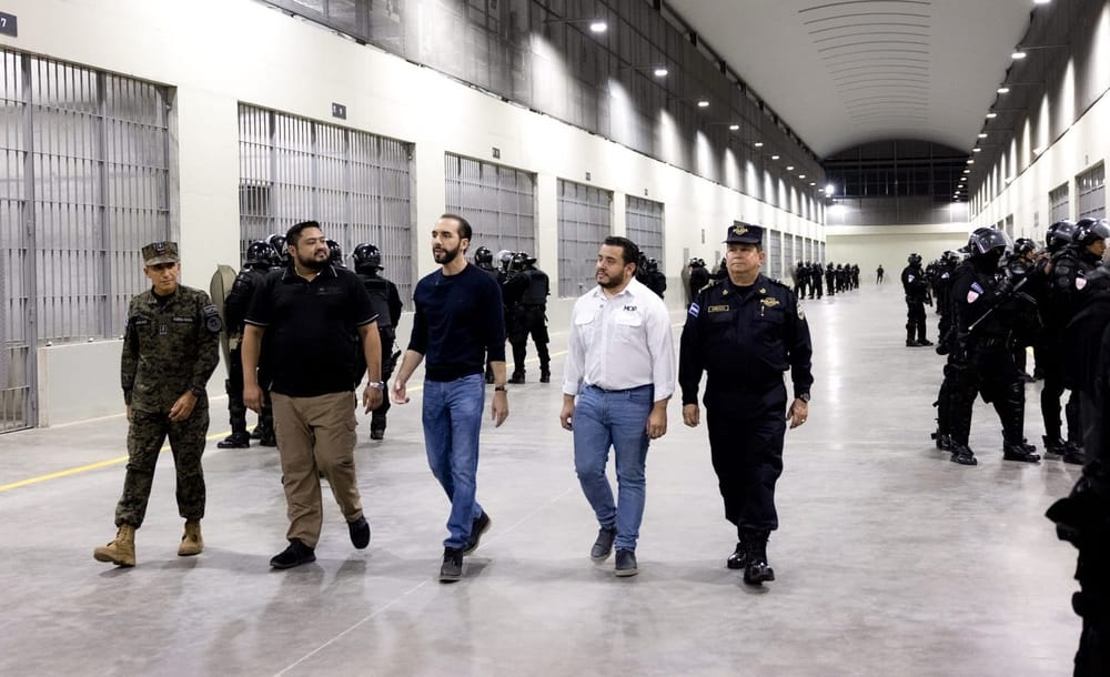 Flight Manifests Reveal Dozens of Previously Unknown People on Three Deportation Flights to El Salvador